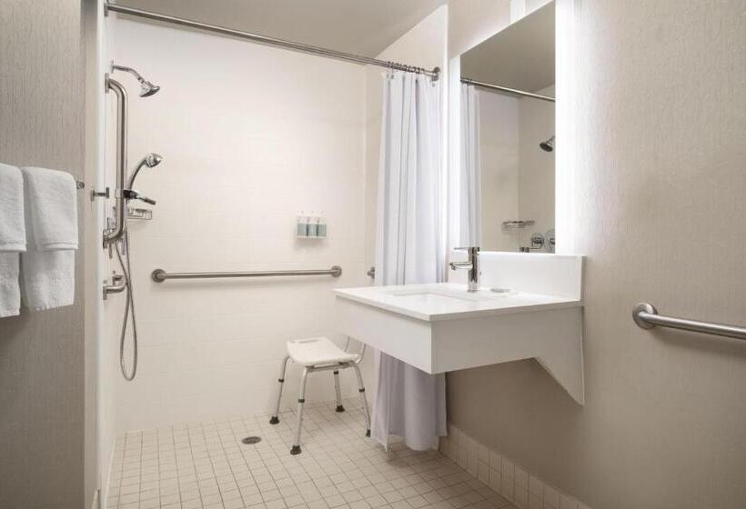 带双人大床的行政管理套房, Springhill Suites Fort Worth University