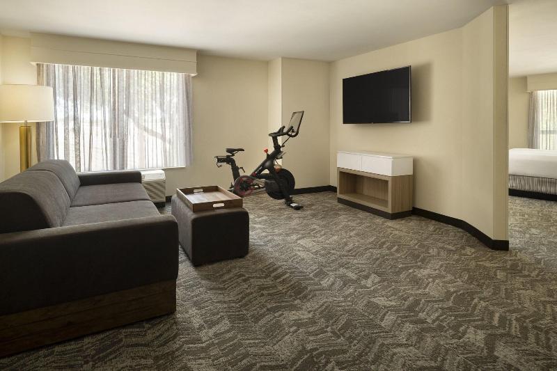 带大床的套房, Springhill Suites Fort Worth University