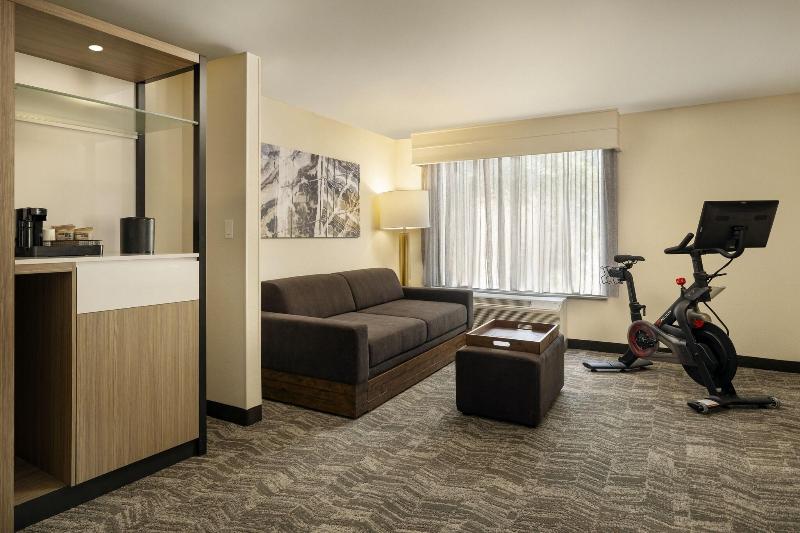 Suíte Cama King, Springhill Suites Fort Worth University