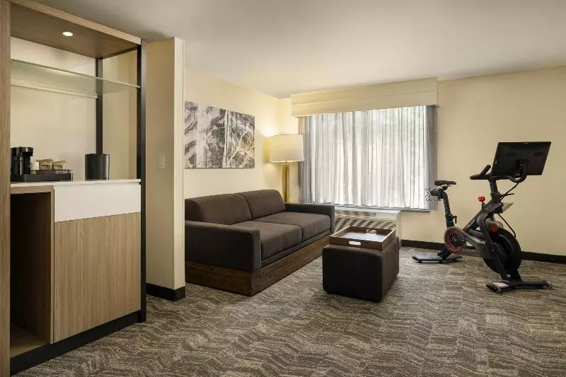 سوئیت با تخت بزرگ, Springhill Suites Fort Worth University