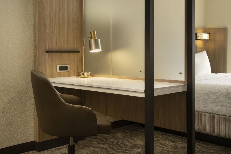 带大床的套房, Springhill Suites Fort Worth University