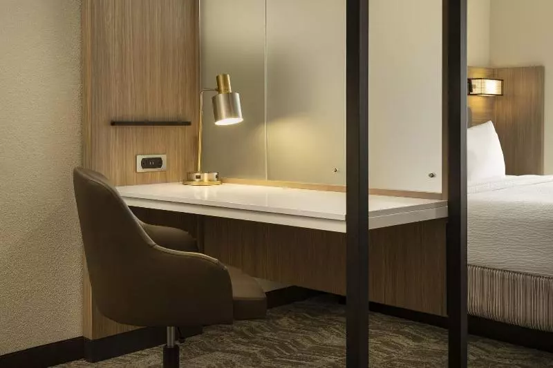 سوئیت با تخت بزرگ, Springhill Suites Fort Worth University