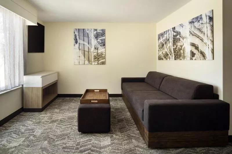سوئیت با تخت بزرگ, Springhill Suites Fort Worth University