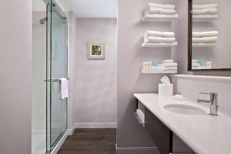 Suíte para Deficientes Físicos, Springhill Suites Fort Worth University