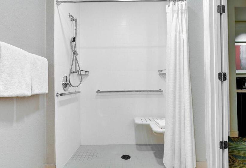 キングサイズベッドのスイートルーム, Springhill Suites Jacksonville