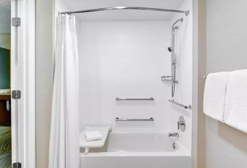 سوئیت با تخت بزرگ, Springhill Suites Jacksonville