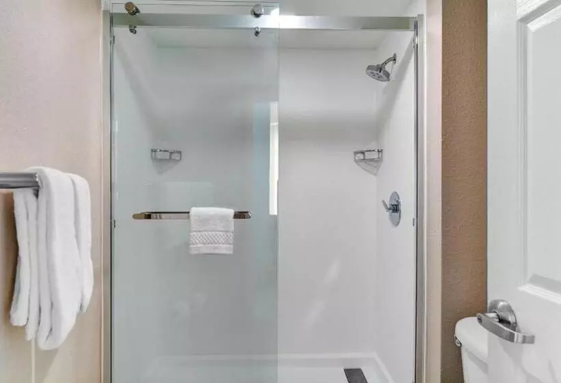 سوئیت با تخت بزرگ, Springhill Suites Jacksonville