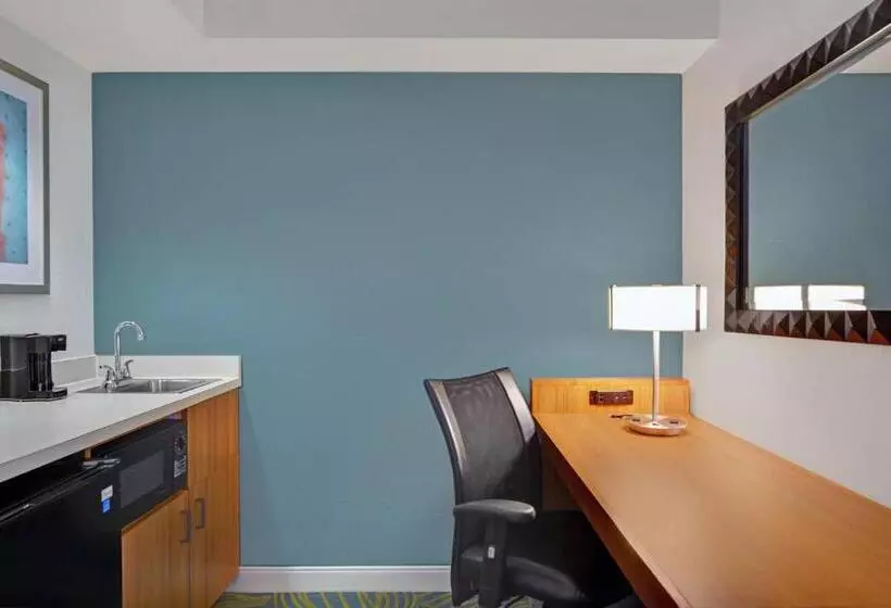 سوئیت با تخت بزرگ, Springhill Suites Jacksonville