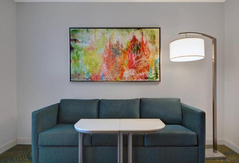 스위트 킹사이즈 침대, Springhill Suites Jacksonville