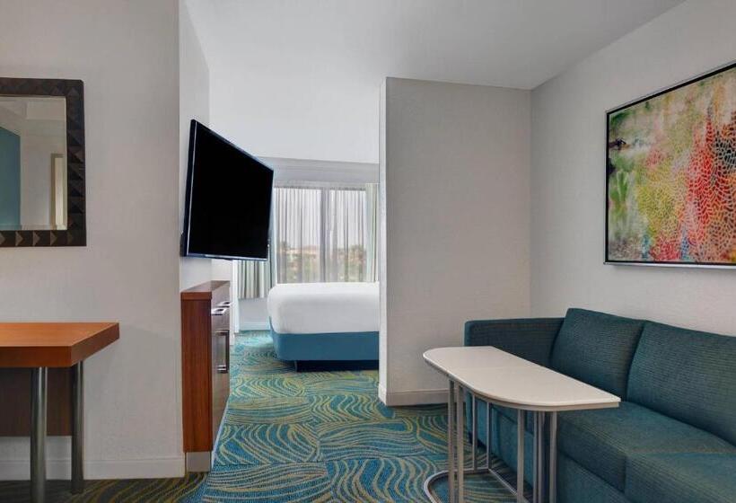 キングサイズベッドのスイートルーム, Springhill Suites Jacksonville