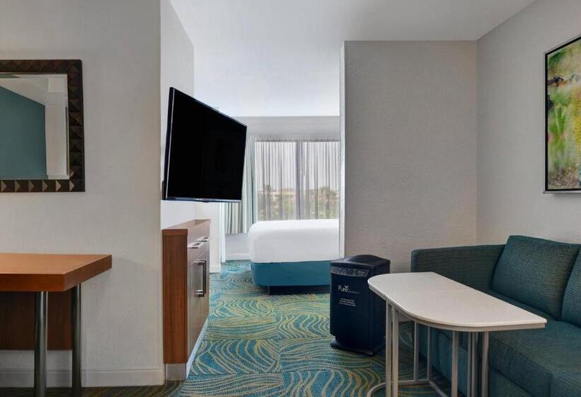 장애인을 위한 스위트, Springhill Suites Jacksonville