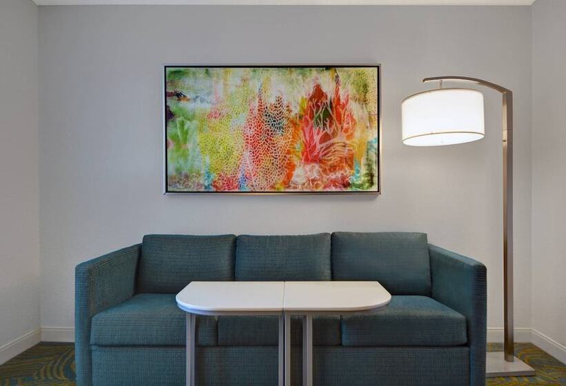 스위트, Springhill Suites Jacksonville