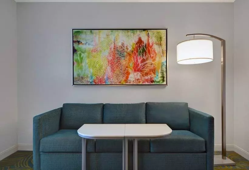 سوئیت برای معلولان, Springhill Suites Jacksonville