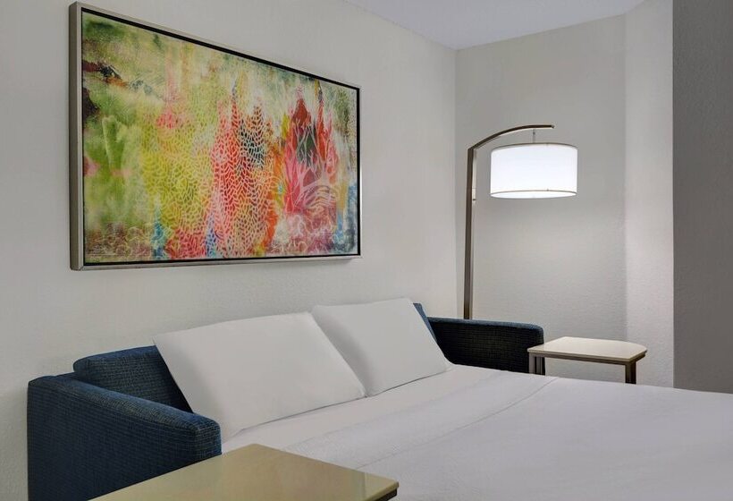 身障者適用スイートルーム, Springhill Suites Jacksonville