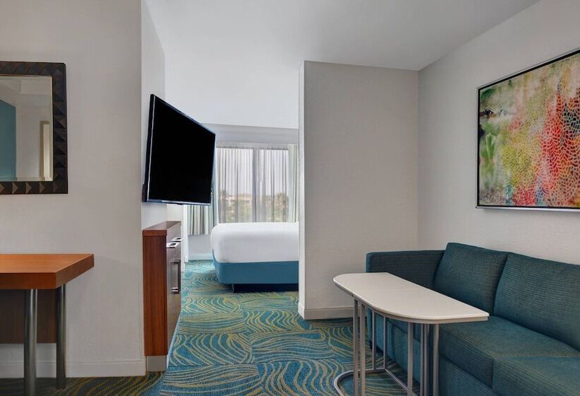 身障者適用スイートルーム, Springhill Suites Jacksonville