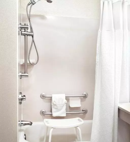 استودیو استاندارد با تخت کینگ, Springhill Suites Phoenix Downtown