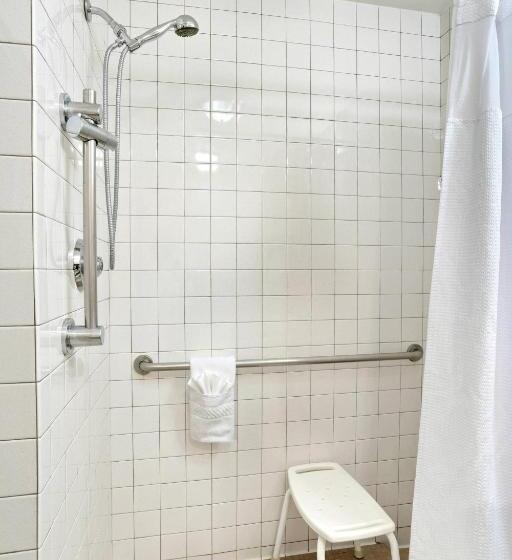 סטודיו סטנדרט, מיטה זוגית, Springhill Suites Phoenix Downtown