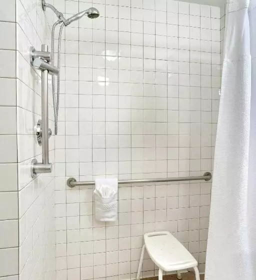 استودیو استاندارد با تخت کینگ, Springhill Suites Phoenix Downtown