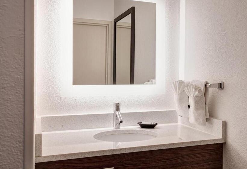 استودیو استاندارد با تخت کینگ, Springhill Suites Phoenix Downtown