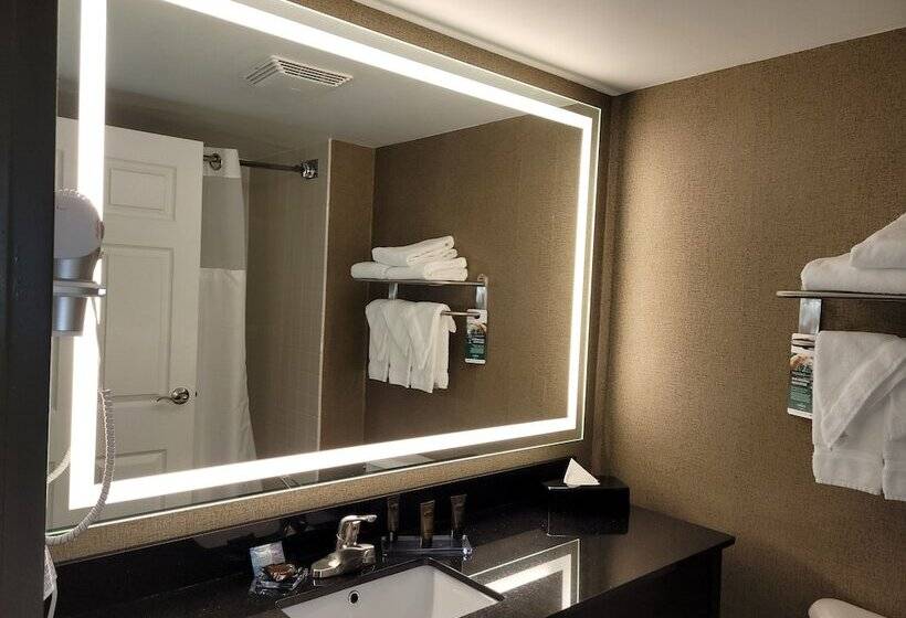 חדר סטנדרט שתי מיטות זוגיות, Wingate By Wyndham Lima