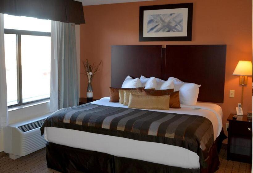 이그제큐티브 스위트, Wingate By Wyndham West Monroe