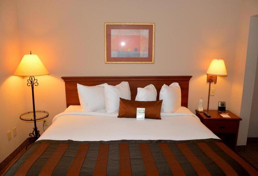 غرفة قياسية سرير كينج, Wingate By Wyndham West Monroe
