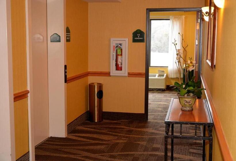 غرفة قياسية لذوى الاحتياجات الخاصة, Wingate By Wyndham West Monroe