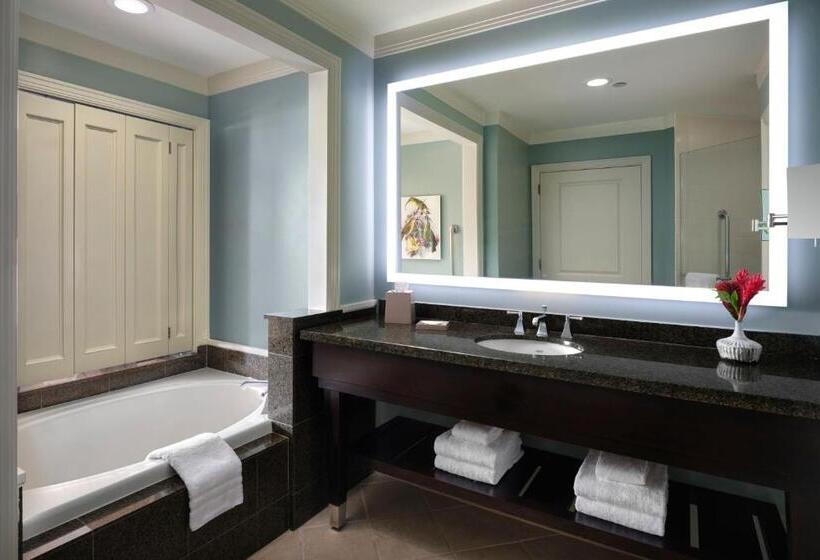 스탠다드 스튜디오 바다 전망, The Westin Ka Anapali Ocean Resort Villas