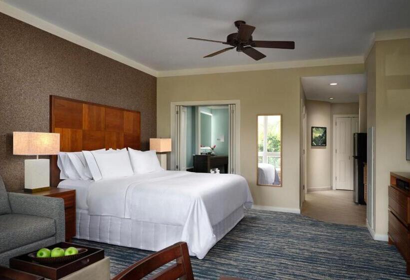 스탠다드 스튜디오 바다 전망, The Westin Ka Anapali Ocean Resort Villas