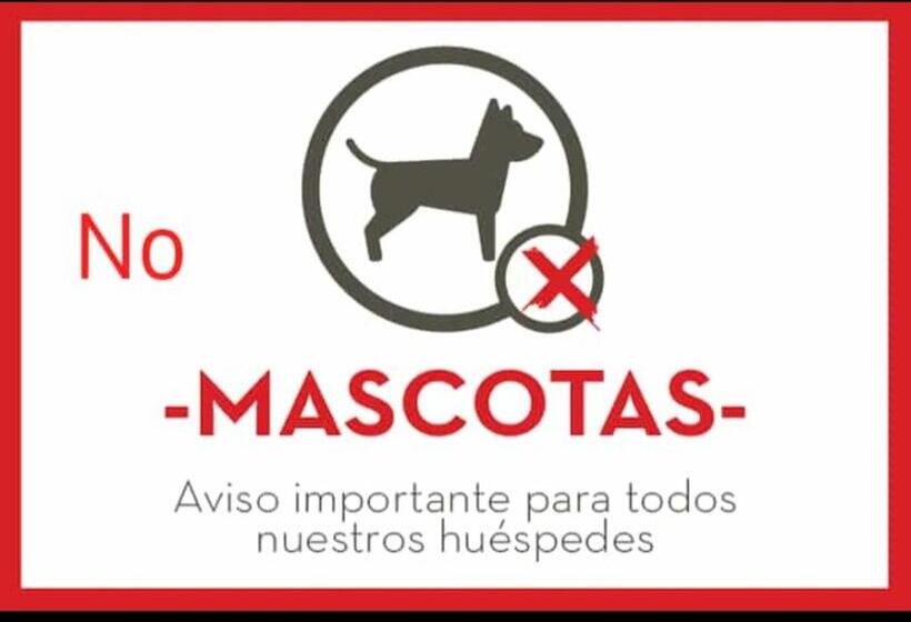 Номер Deluxe, Descanso Al Paso Chuy