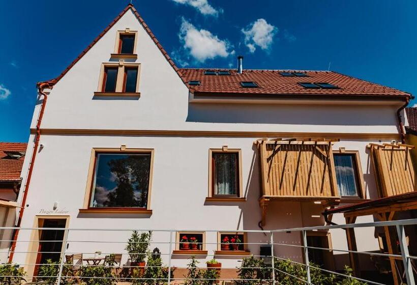 标准间, Penzion Lederer