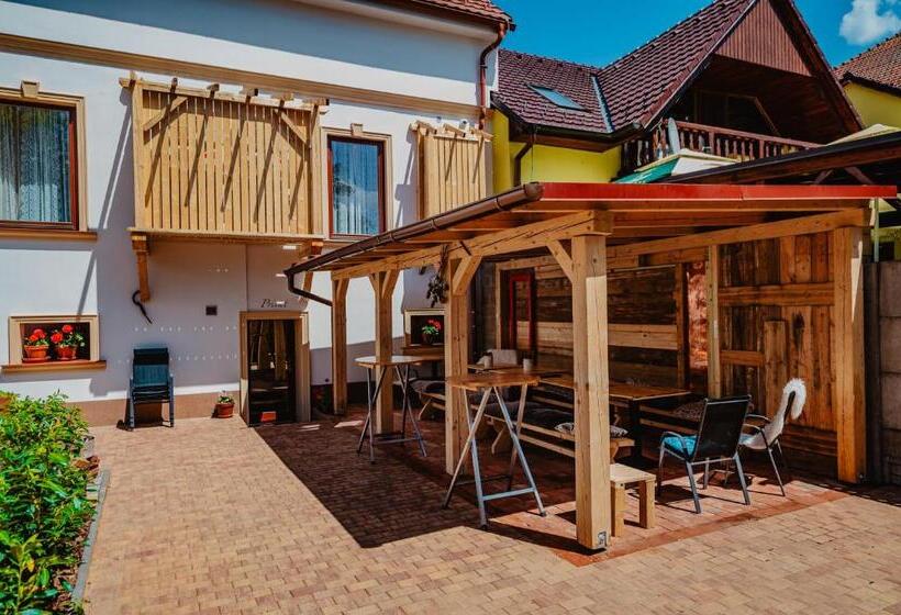 带1个卧室的公寓, Penzion Lederer