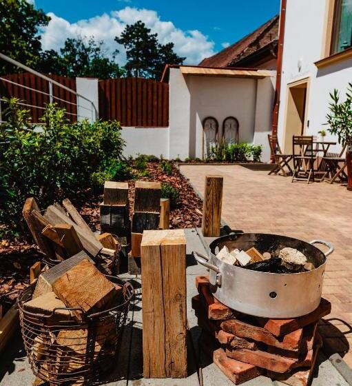 带1个卧室的高级公寓, Penzion Lederer