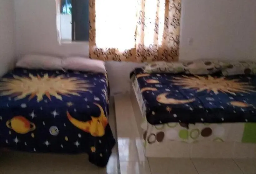 ファミリールーム, Room In Guest Room Lodging And Camping The Island