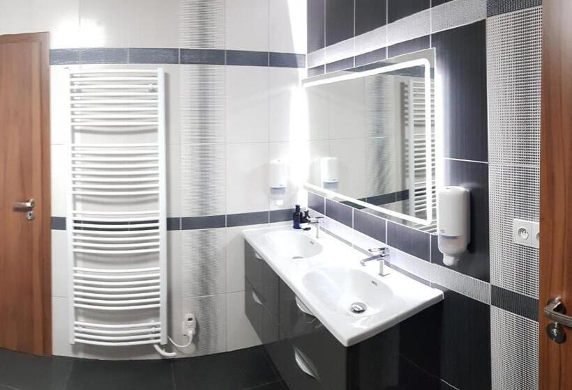 Номер Стандарт Кровать Кинг Адаптированный для Инвалидов, Apartmány Meandry