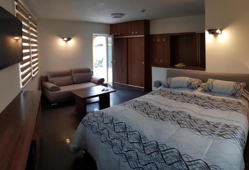 Номер Стандарт Кровать Кинг Адаптированный для Инвалидов, Apartmány Meandry