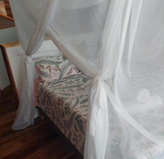 オーシャンビューファミリールーム, Calamari Baru