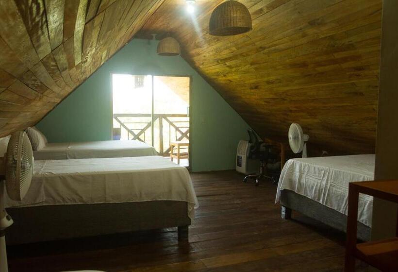 ファミリールーム, Calamari Baru