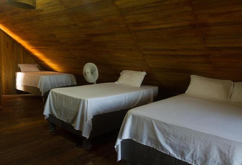 ファミリールーム, Calamari Baru