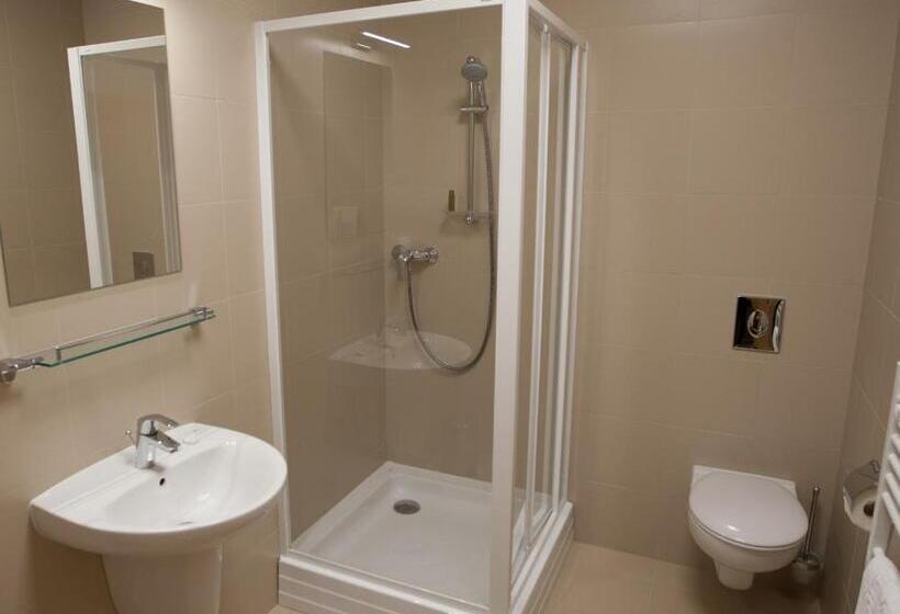 غرفة سوبيريور فردية, Central Carei