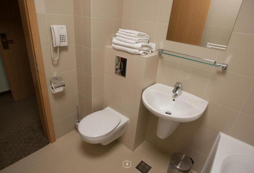 شقة غرفة نوم واحدة مزودة بشُرفة, Central Carei