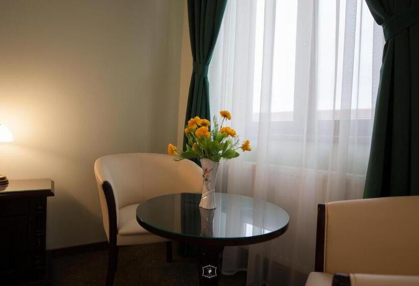 شقة غرفة نوم واحدة مزودة بشُرفة, Central Carei