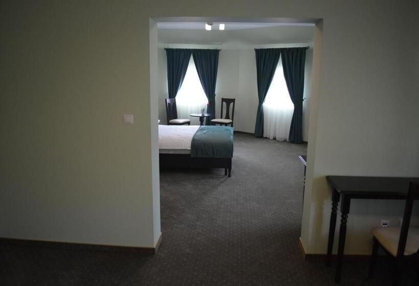 شقة ديلوكس غرفة واحدة, Central Carei