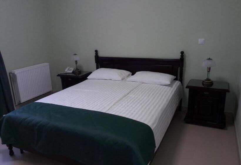 غرفة قياسية لذوى الاحتياجات الخاصة, Central Carei