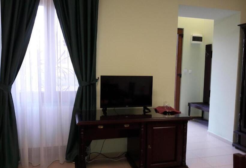 غرفة قياسية لذوى الاحتياجات الخاصة, Central Carei