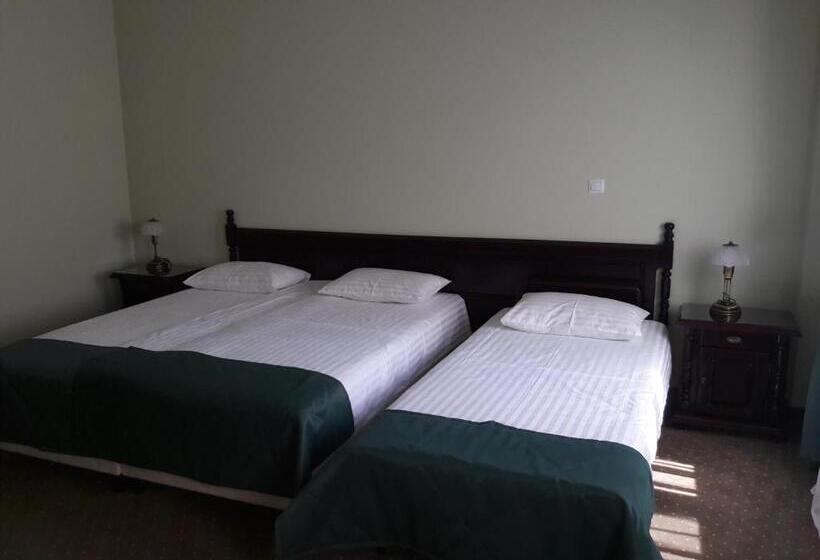 غرفة ديلوكس, Central Carei