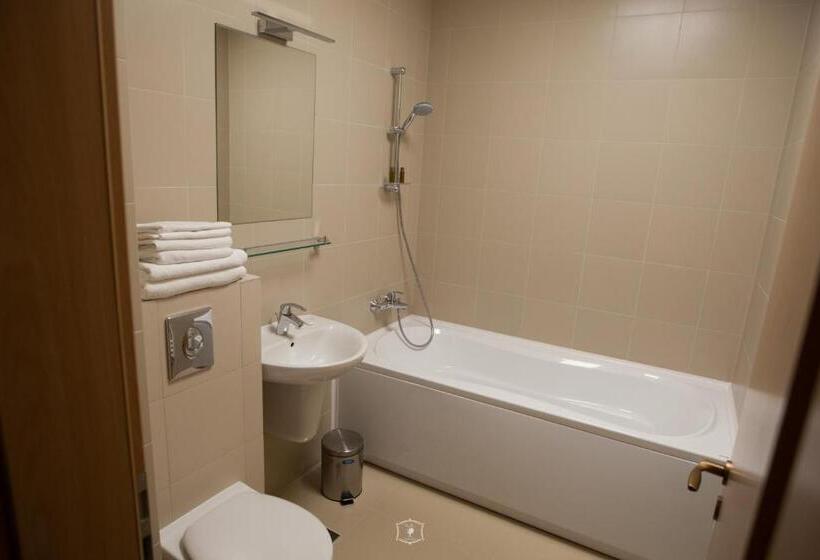 شقة غرفة نوم واحدة مزودة بشُرفة, Central Carei