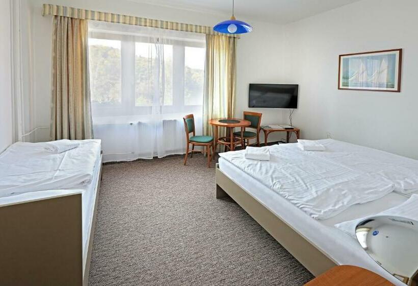 Номер Стандарт Трехместный, Laguna Slapy