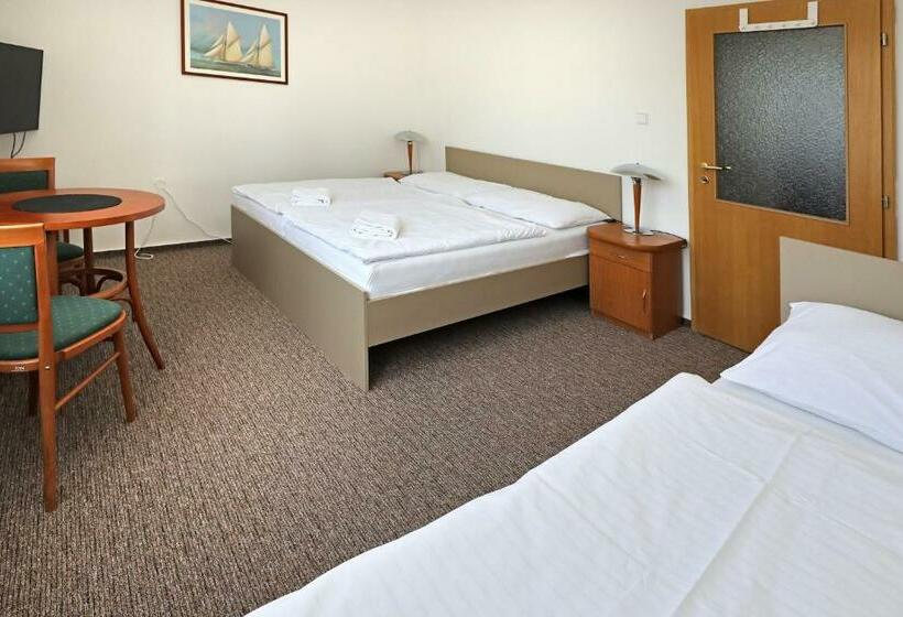 Трехместный Номер Стандарт с Видом, Laguna Slapy