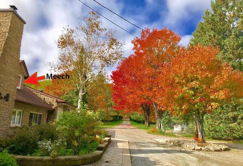 デラックスルーム, Auberge Tom B&b